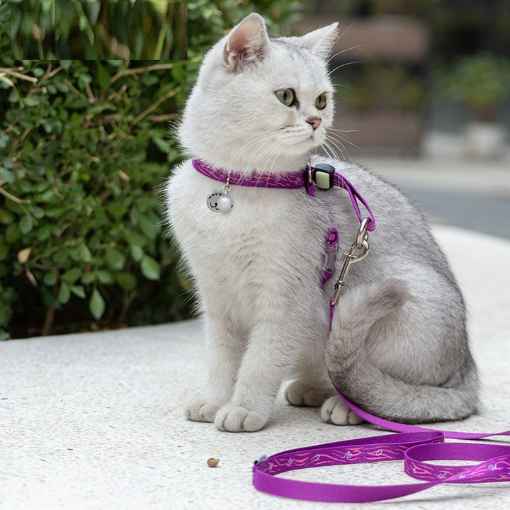 Discover the Ultimate Control with Our Pet Bell Chest Strap Vest