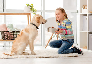 Healthy Feeding Supplies For Happy Pets